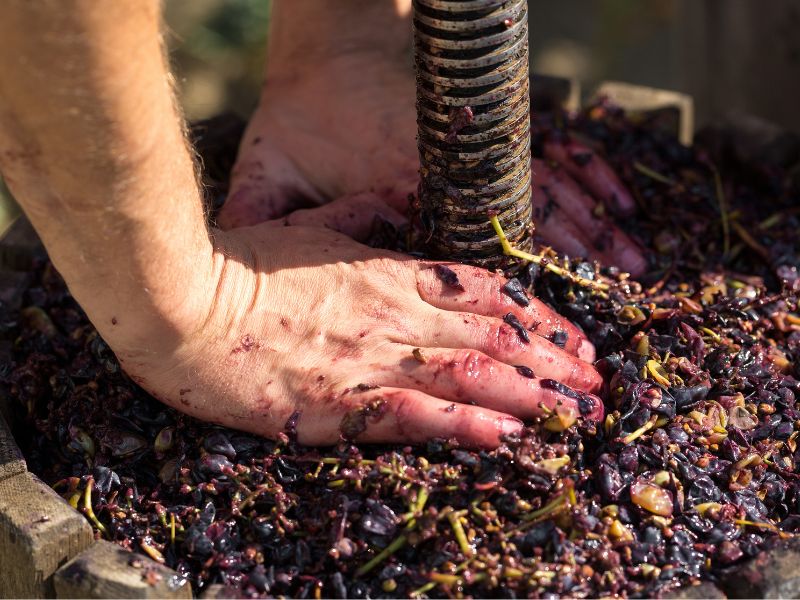 Creawine Technologie valorise les marcs viticoles